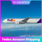 Pengiriman Cepat Amazon FedEx Guangdong, Pengiriman Pintu Ke Pintu Internasional FBA