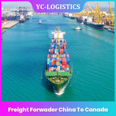 FOB Freight Forwarder China Ke Kanada