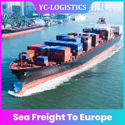 Internasional 6 Sampai 7 Hari DDP DDU Sea Freight Ke Eropa Dari China