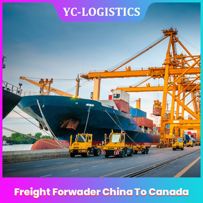 FOB EXW China To Canada Freight Forwarder Dari Shenzhen Ke Seluruh Dunia, DDU Sea Freight Forwarding Services