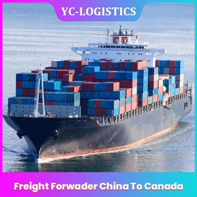 3 Sampai 17 Hari DDP DDU Agen Pengiriman China Ke Kanada, Shenzhen Amazon FBA Freight Forwarder